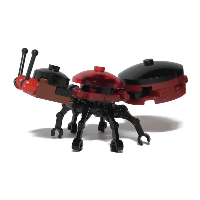 Ant