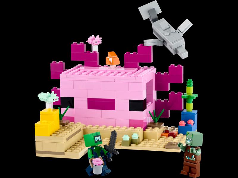 The Axolotl House