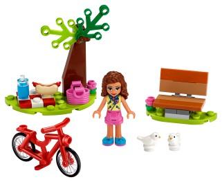 Park Picnic