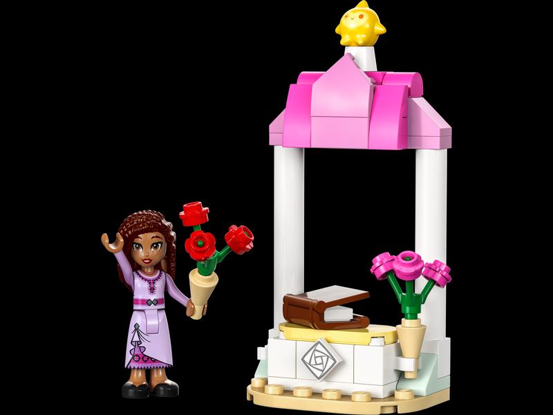 Asha's Welcome Booth