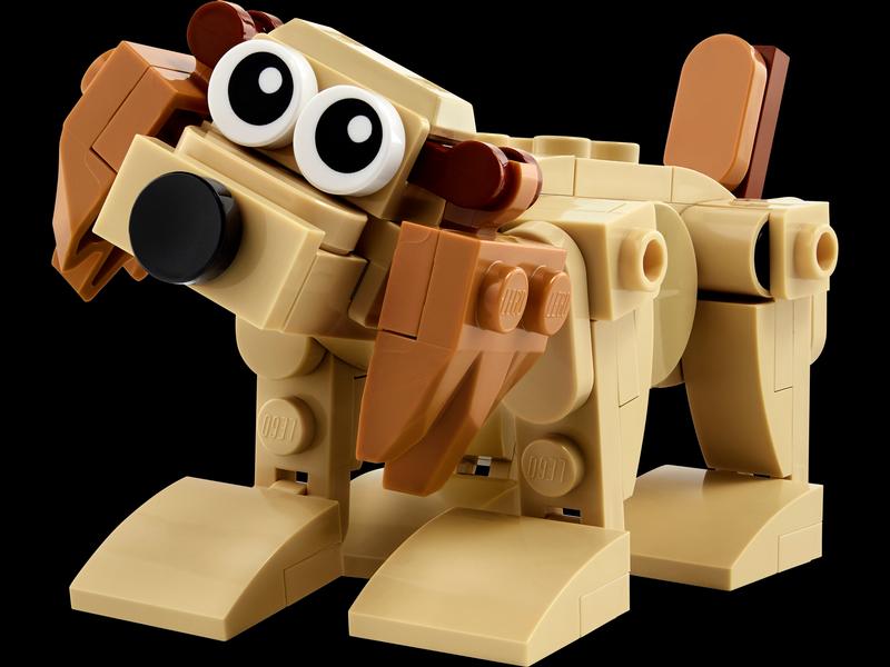 Gift Animals