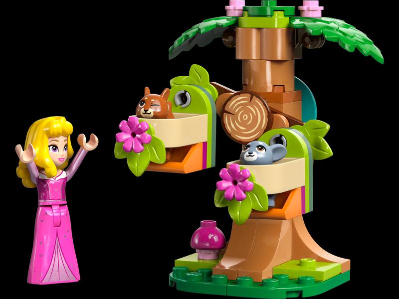 Aurora's Forest Playground