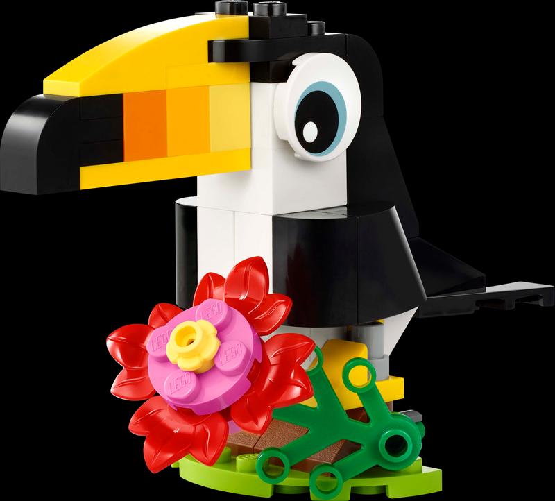 Tropical Toucan