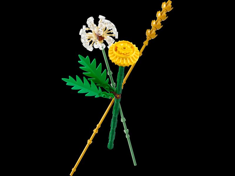 Field Flowers