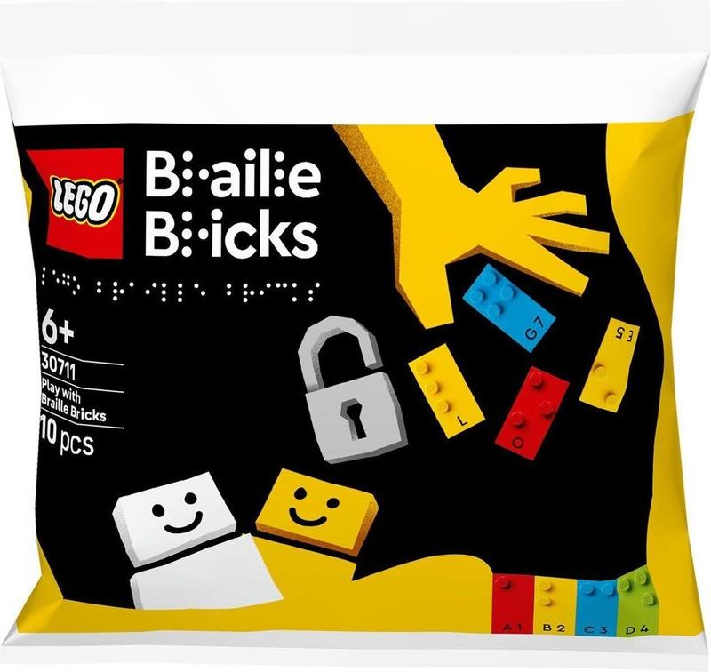 Play with Braille Bricks