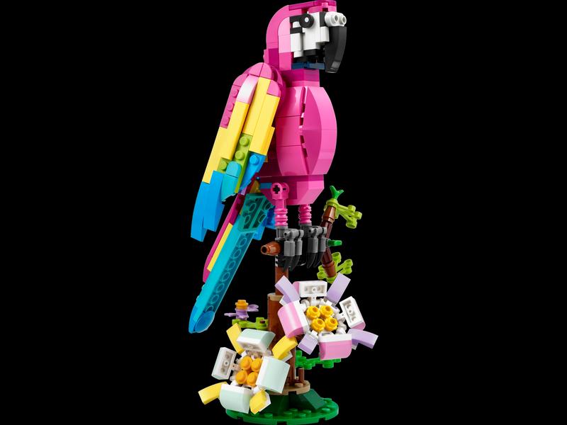 Exotic Pink Parrot