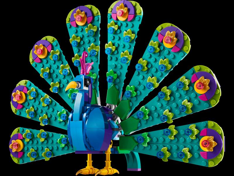 Exotic Peacock