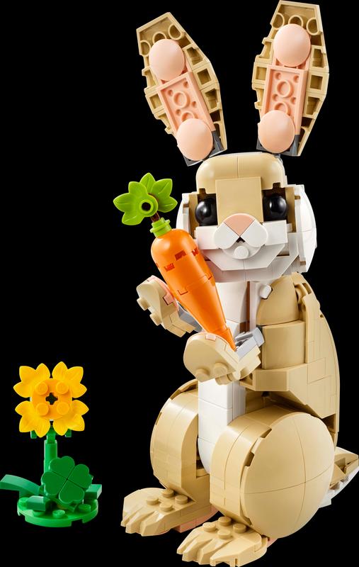 Cute Bunny