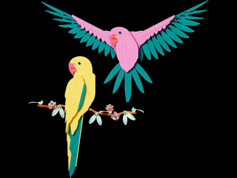 The Fauna Collection - Macaw Parrots