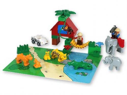 Wild Animals