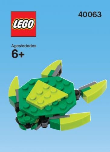 Sea Turtle