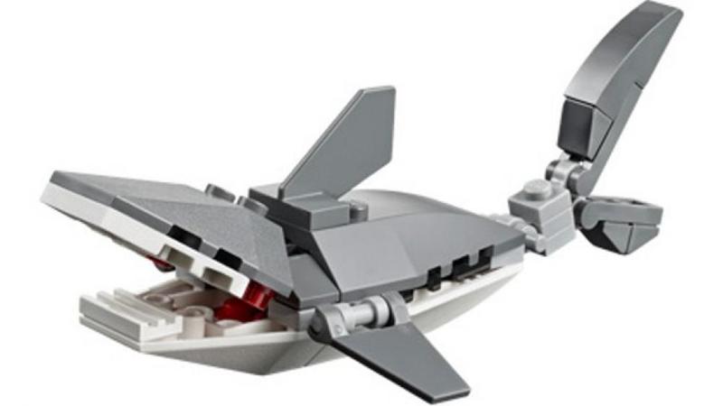 Shark