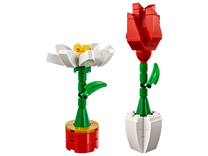 Flower Display