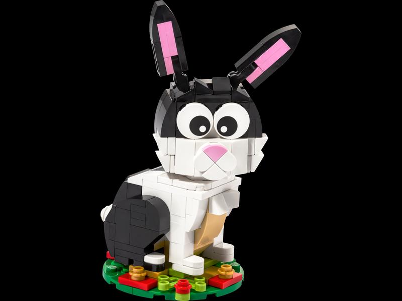 Year of the Rabbit
