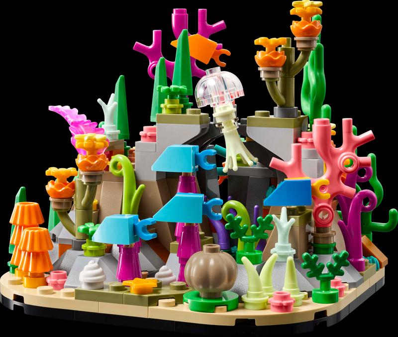 Coral Reef Diorama