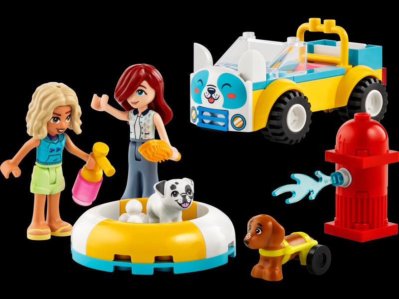 Dog-Grooming Car