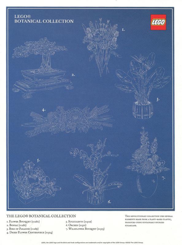 Botanical Collection Art Print - Blueprint