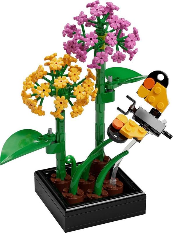 Butterfly Garden