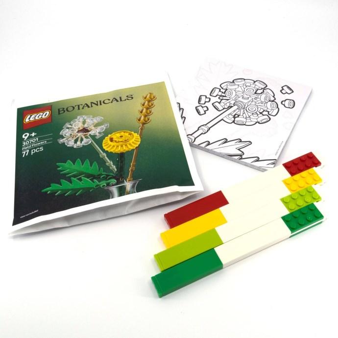Creativity Set – Botanicals