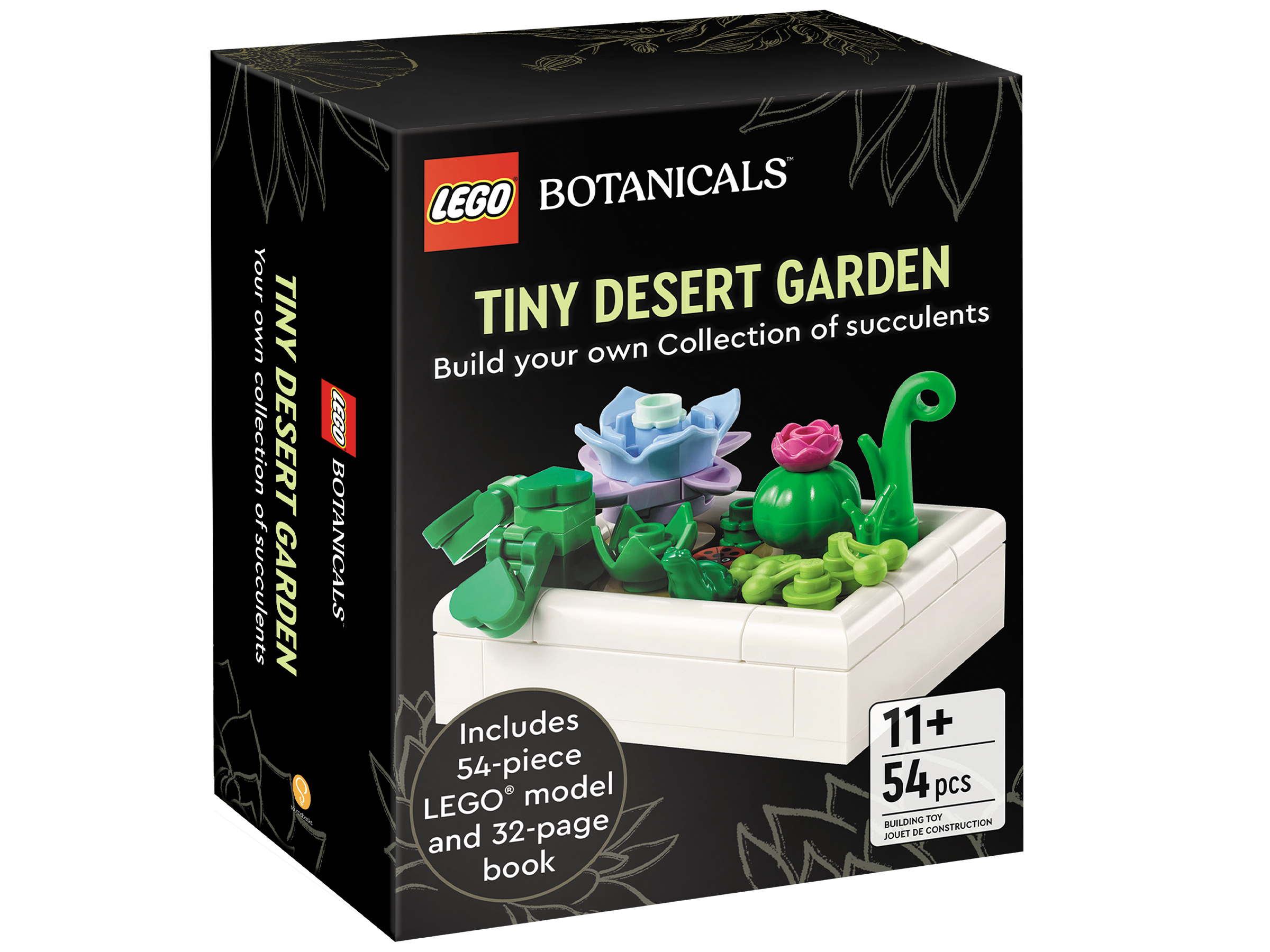 Tiny Desert Garden
