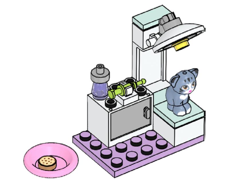 Cat at the vets
