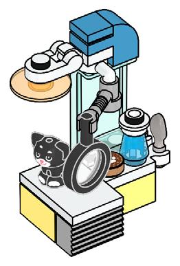 Kitten at the vets