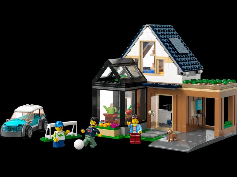 Family House and Electric Car