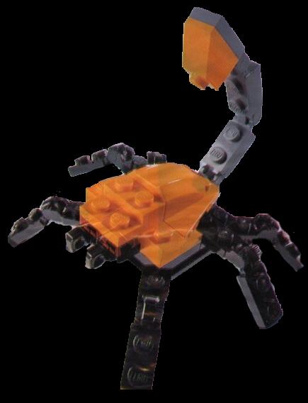 Scorpion