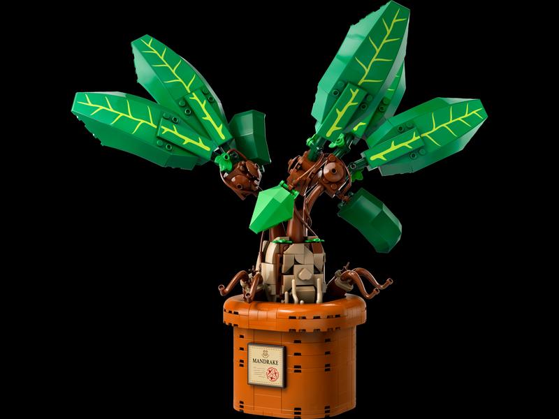 Mandrake