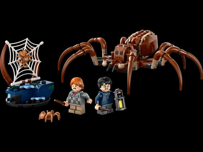 Aragog in the Forbidden Forest