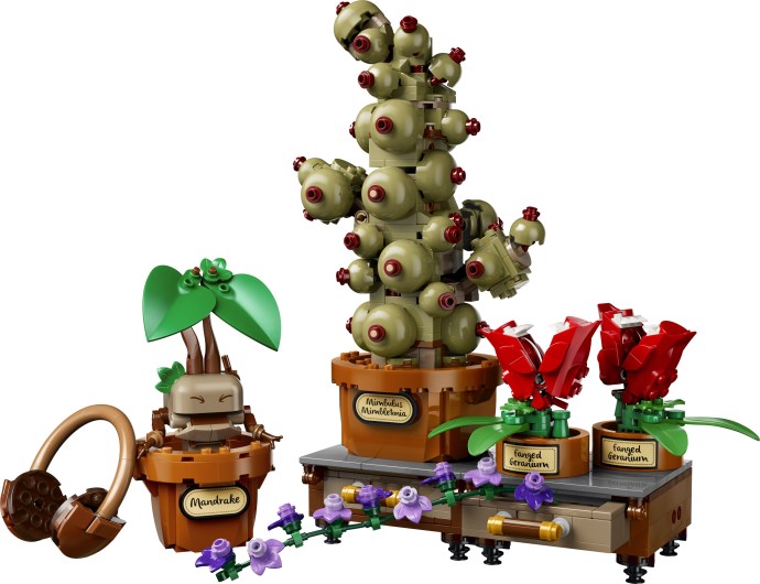 Hogwarts Herbology Plants