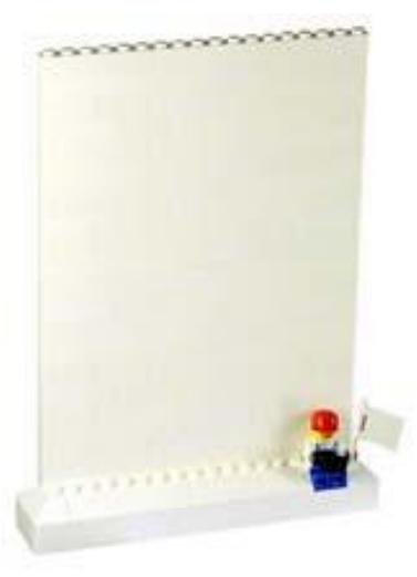 Brick Wall Photo Display (Portrait)