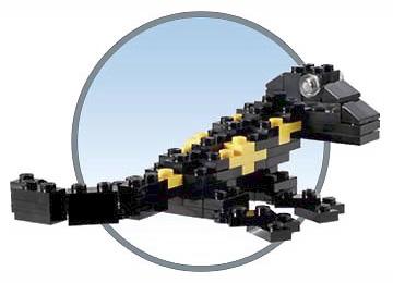 {Salamander}