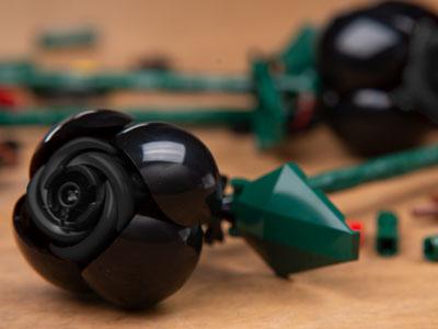 2x Black Roses