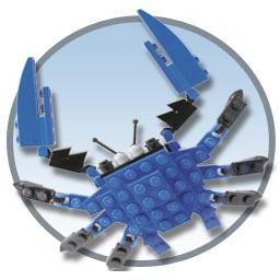 {Crab}