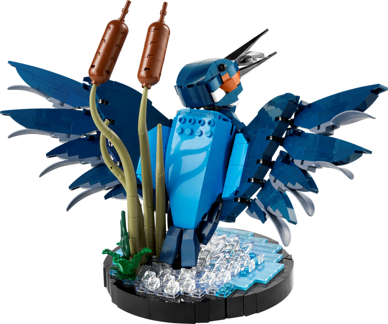 Kingfisher
