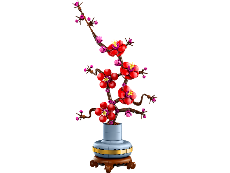 Plum Blossom