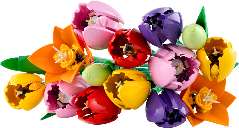 Tulip Bouquet