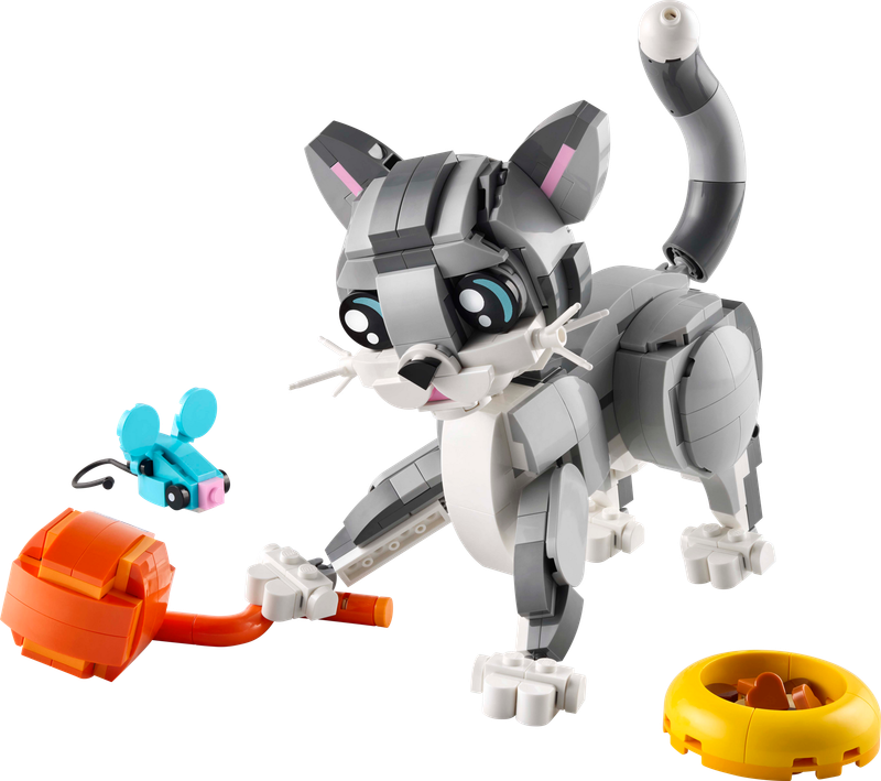 Playful Cat
