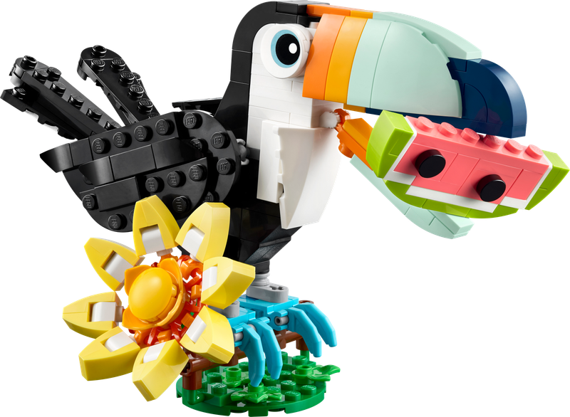 Tropical Toucan