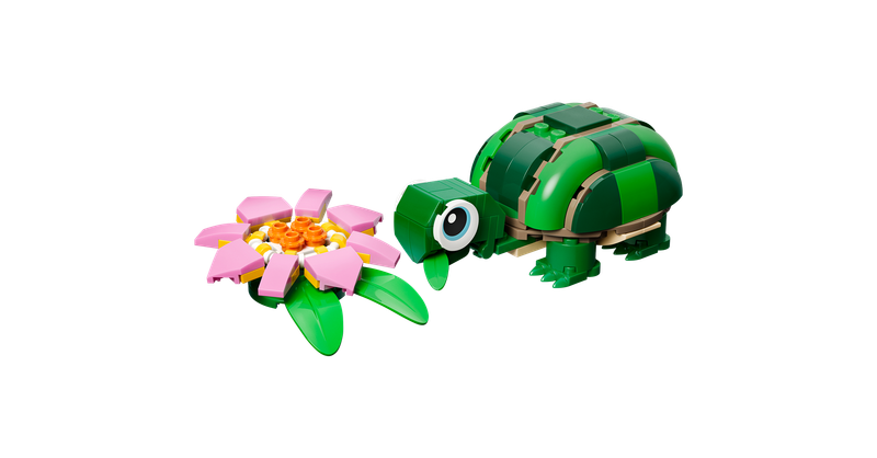 Turtle with a Water Lily