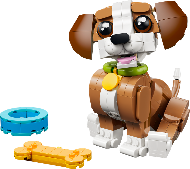 Playful Puppy