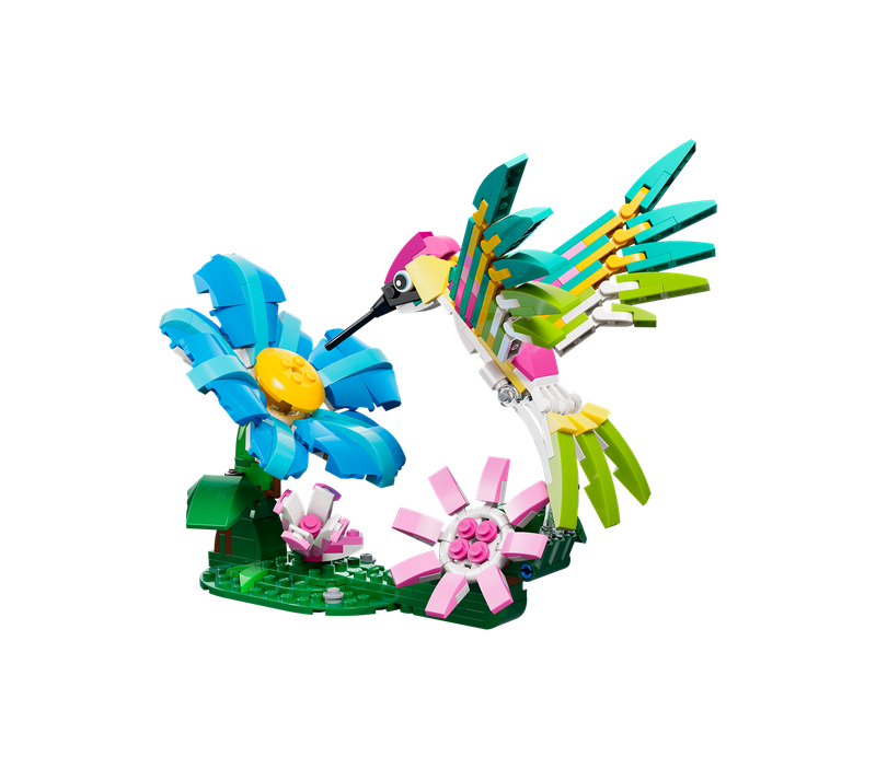 Colourful Hummingbird