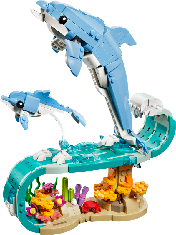 Beautiful Dolphins