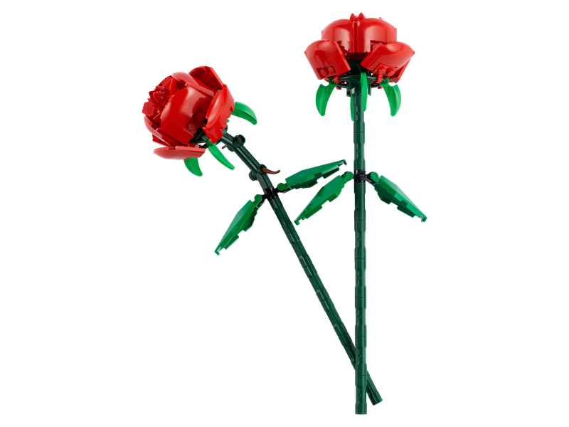 Roses