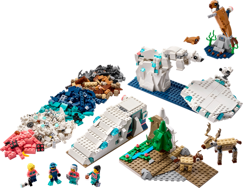 Arctic Animals Science Kit