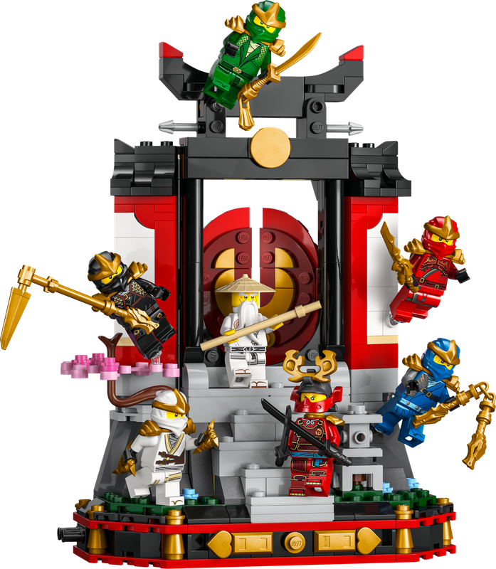Ninja Character Display
